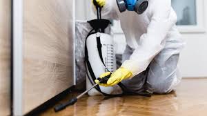 Best Emergency Pest Control  in Bulverde, TX